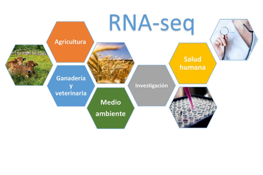 RNA seq | Secuenciación ARN | Laboratorio de referencia en España