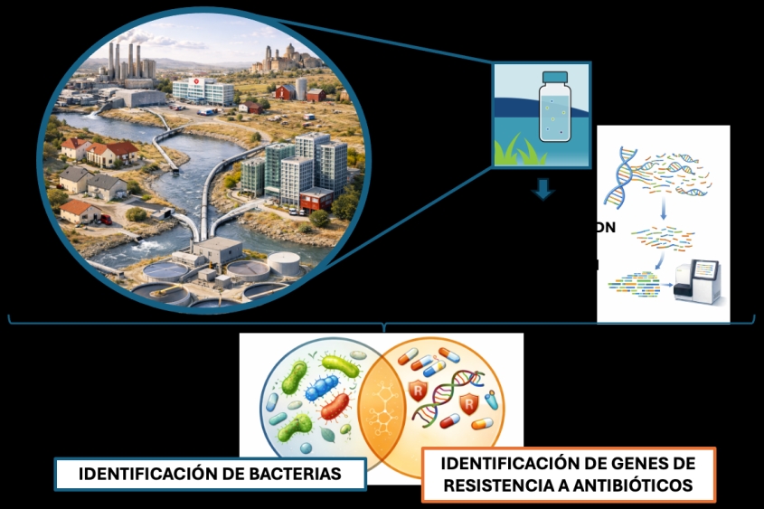 Seqplexing realiza una monitorización avanzada en las aguas de la red de saneamiento de la ciudad de València en el marco del proyecto MORESAN