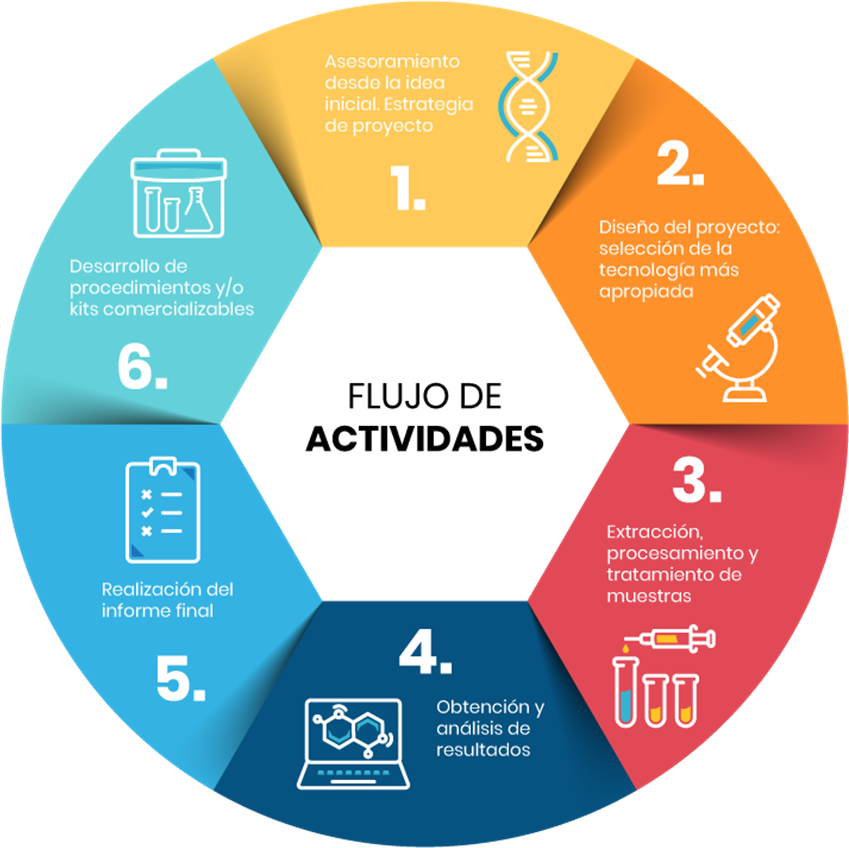 flujo de actividades