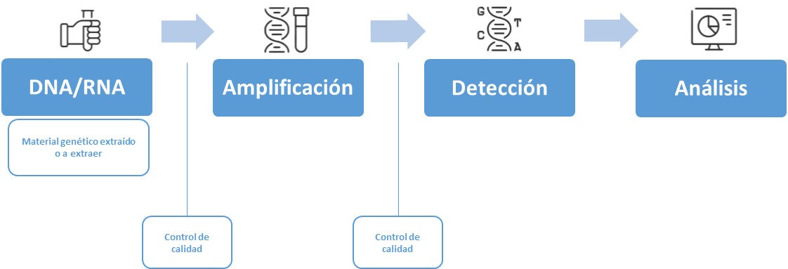 qPCR